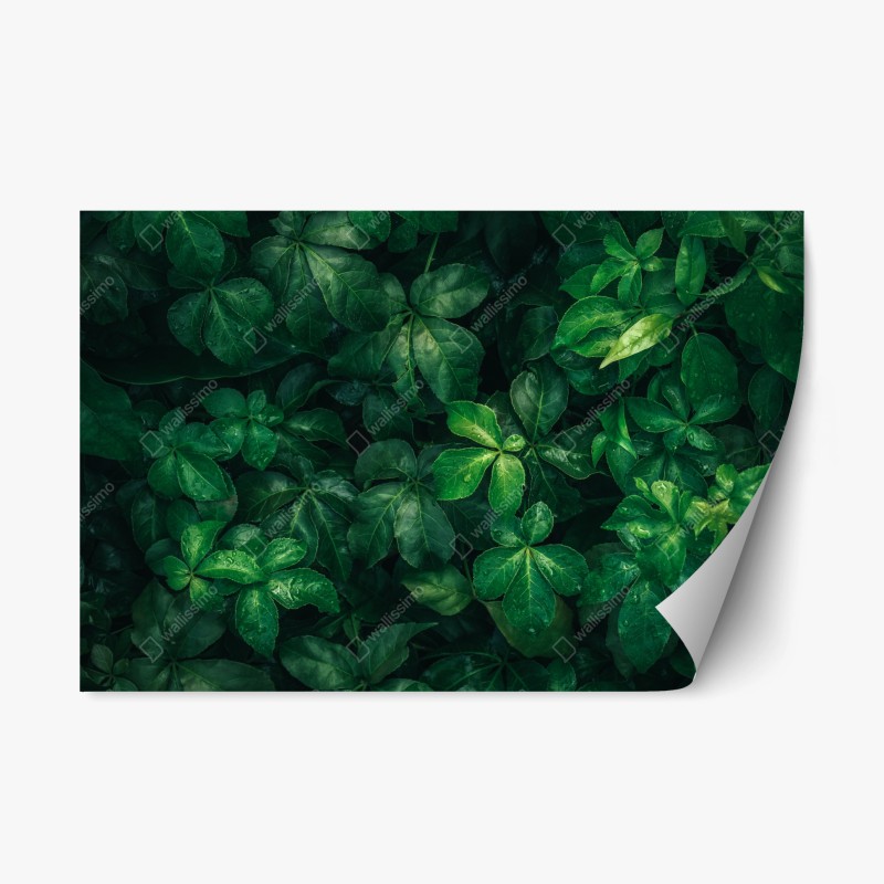 Repositionierbarer Aufkleber panorama Teide auf Teneriffa – Wallnifity®