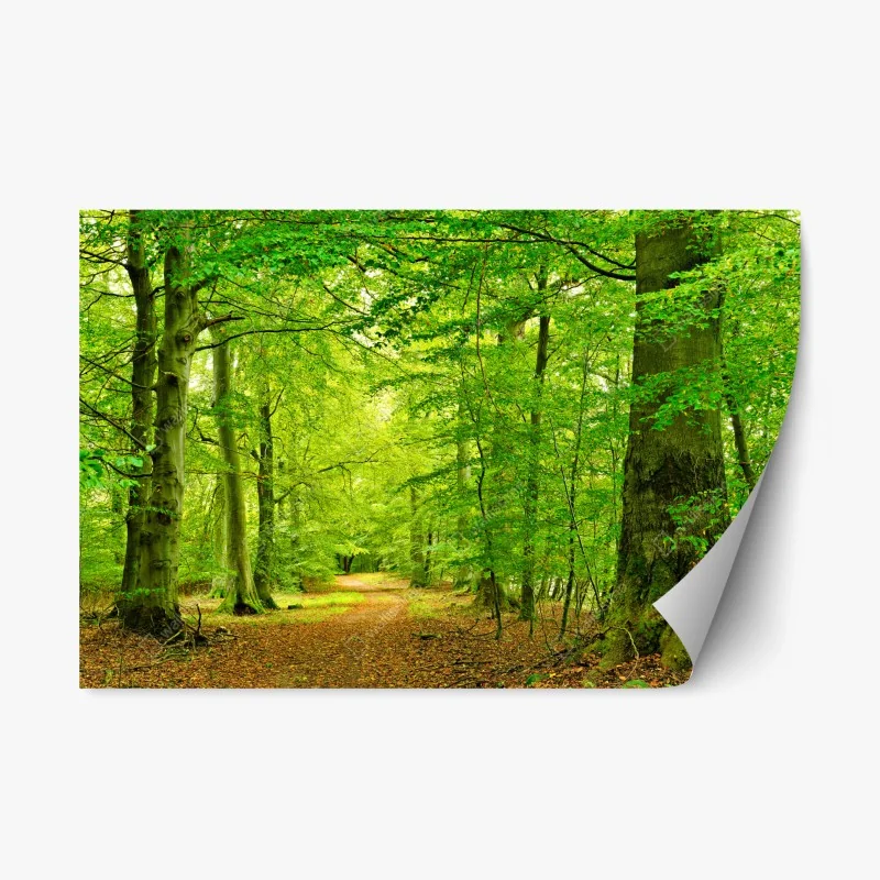 Repositionierbarer Aufkleber ruhiger grüner waldpfad