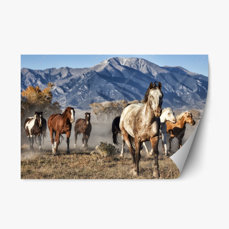 Repositionierbarer Aufkleber lebhaftes muster mit orangenscheiben – Wallnifity®