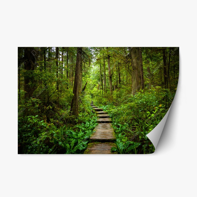 Repositionierbarer Aufkleber alpenberg spiegelung über stillem see – Wallnifity®