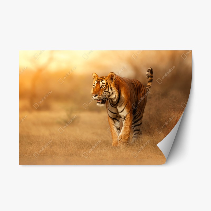 Repositionierbarer Aufkleber tropisches hibiskusmuster – Wallnifity®