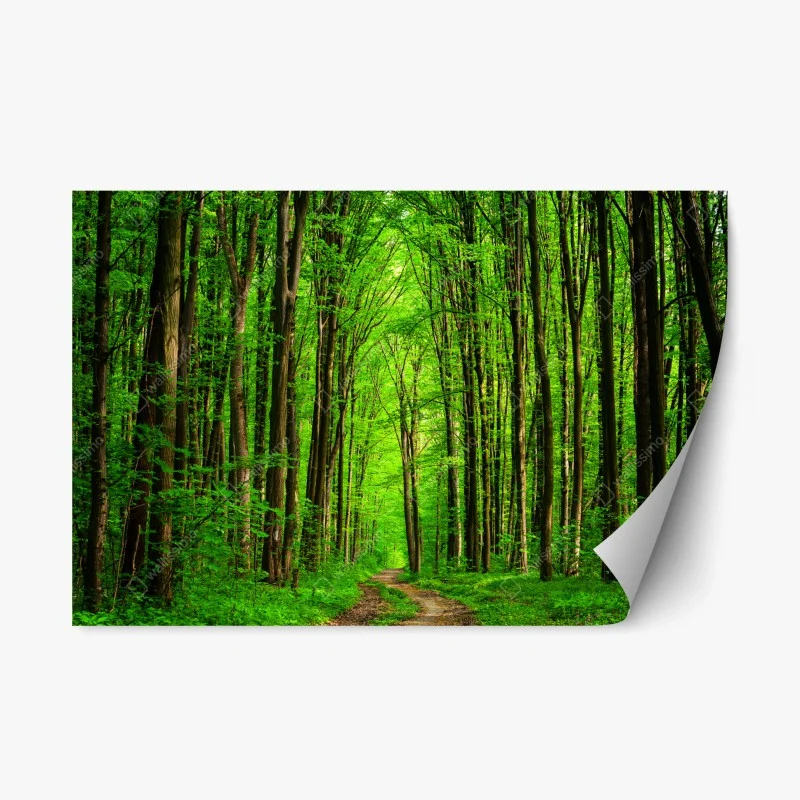Repositionierbarer Aufkleber üppiger grüner waldweg