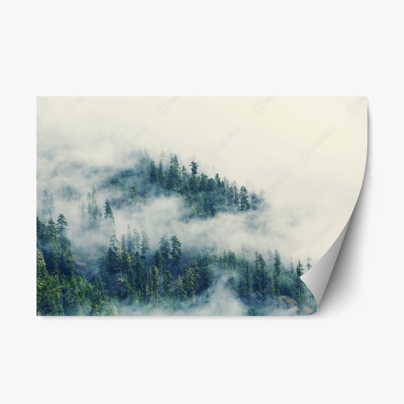 Repositionierbarer Aufkleber lebendige Skyline von Istanbul über dem Bosporus – Wallnifity®