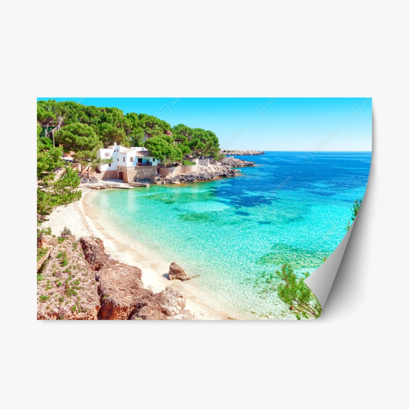 Repositionierbarer Aufkleber elegantes pfauen- und blumenmuster – Wallnifity®