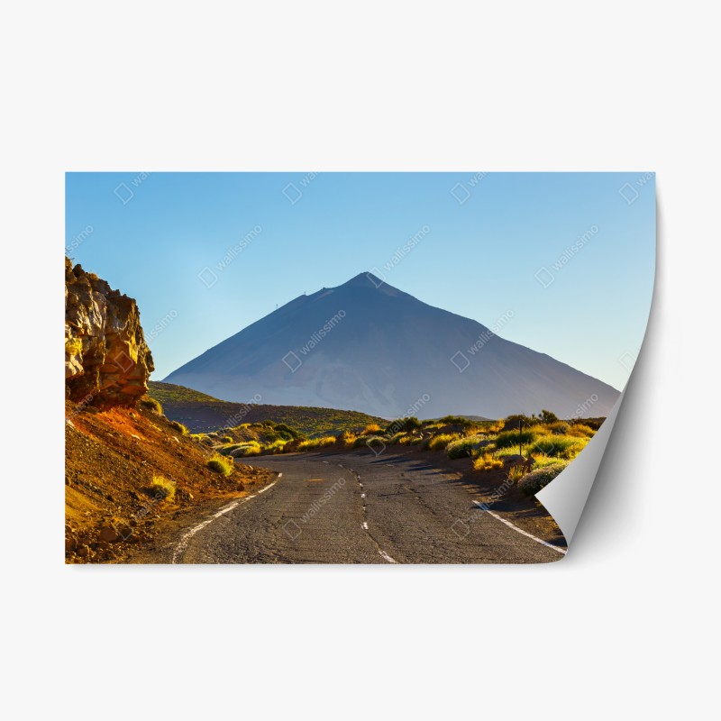 Repositionierbarer Aufkleber üppige tropische farnblätter – Wallnifity®