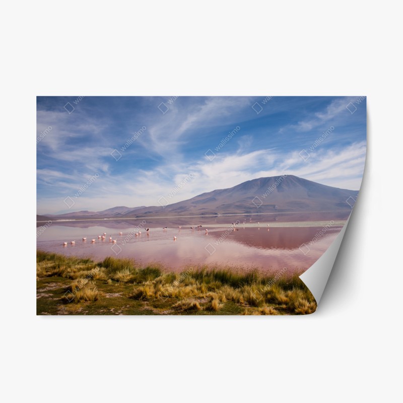 Repositionierbarer Aufkleber niedliches lächelndes sternenmuster für kinderzimmer – Wallnifity®