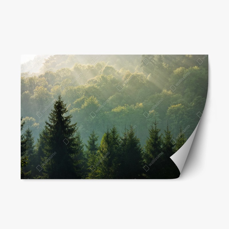 Repositionierbarer Aufkleber weiche blaue sterne für das kinderzimmer – Wallnifity®