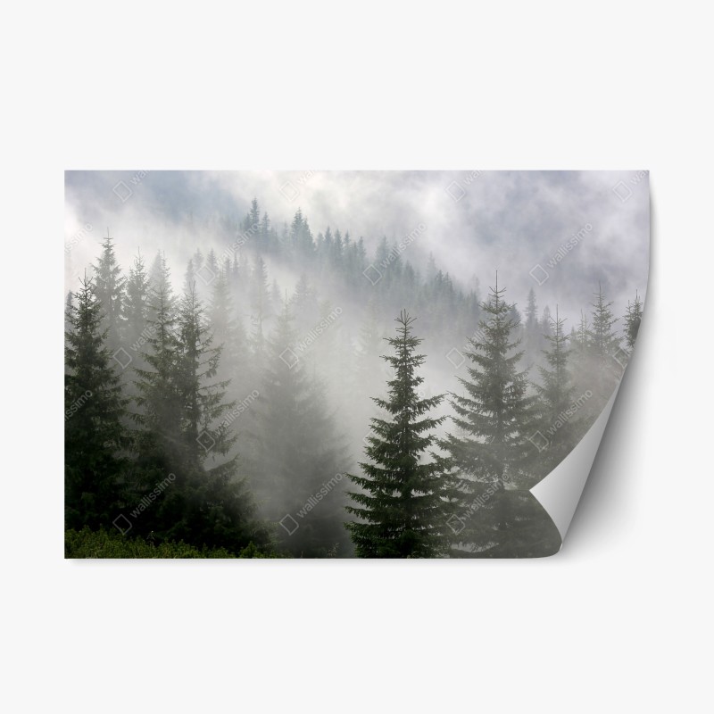 Repositionierbarer Aufkleber Neptun klassisches standbild in monochrom – Wallnifity®