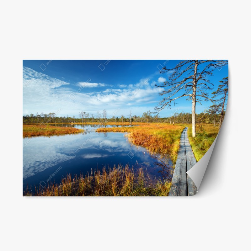 Repositionierbarer Aufkleber panorama des üppigen grünen wasserfalls – Wallnifity®