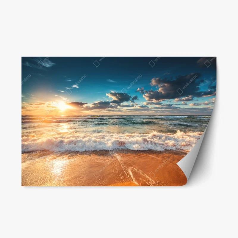 Repositionierbarer Aufkleber sonnenbeschienenes rapsfeld im abendlicht – Wallnifity®