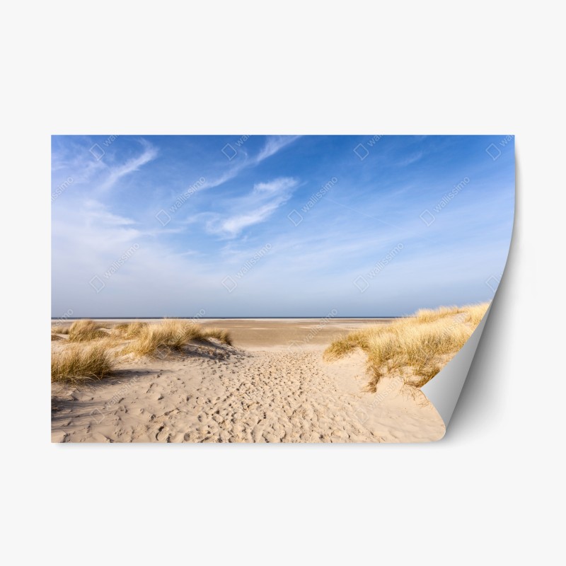 Repositionierbarer Aufkleber stufen zum strand Aiguablava, Costa Brava – Wallnifity®