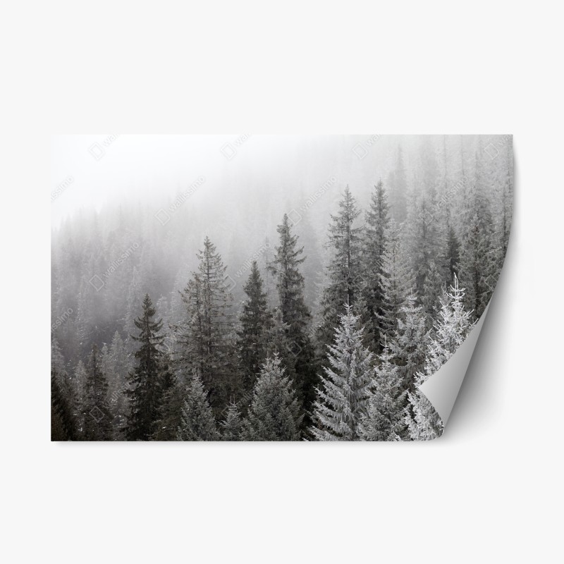 Repositionierbarer Aufkleber vintage collage mit bieretiketten – Wallnifity®