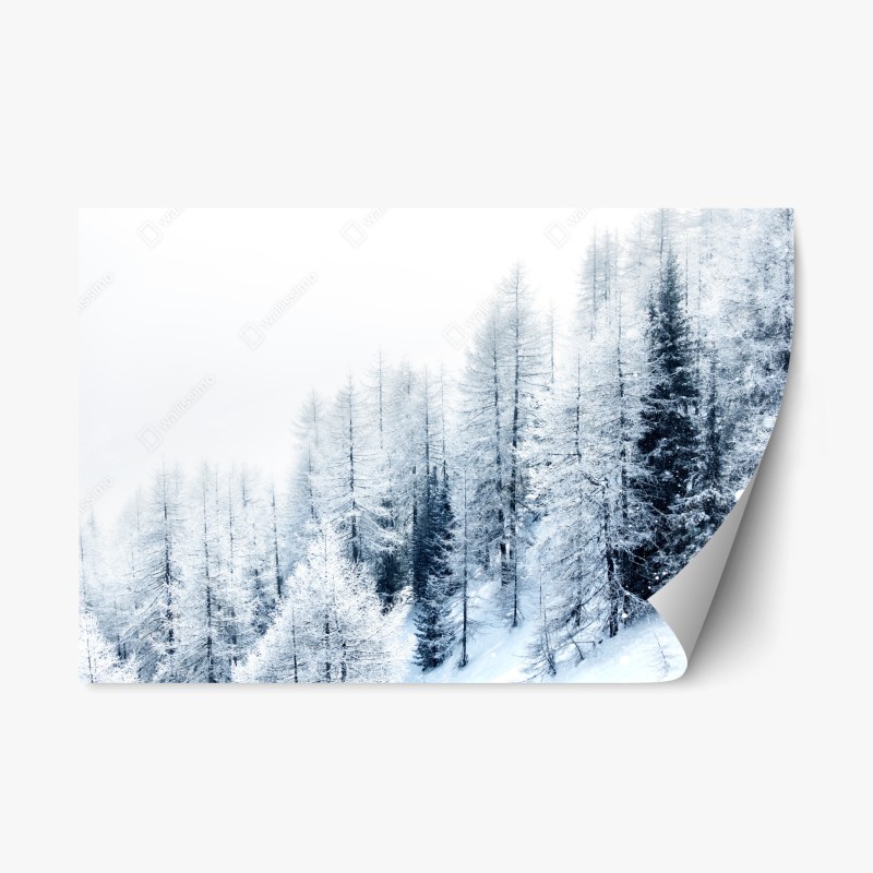 Repositionierbarer Aufkleber winterstille: verschneiter wald