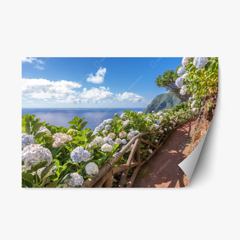 Repositionierbarer Aufkleber türkisfarbene wellen am Kelingking Beach – Wallnifity®