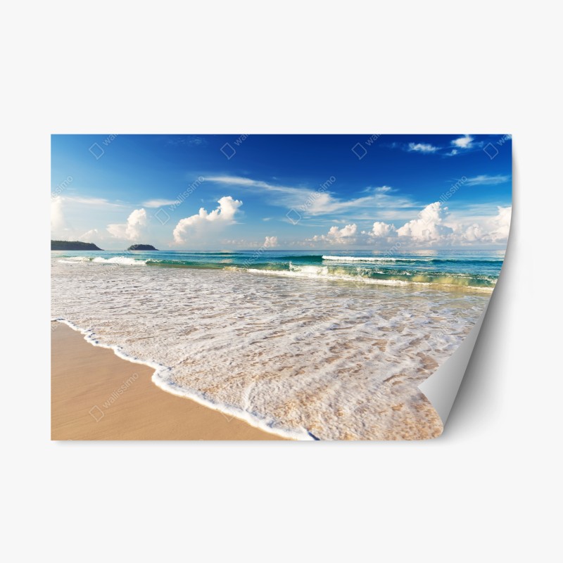 Repositionierbarer Aufkleber moosbedeckter waldbach im herbst – Wallnifity®