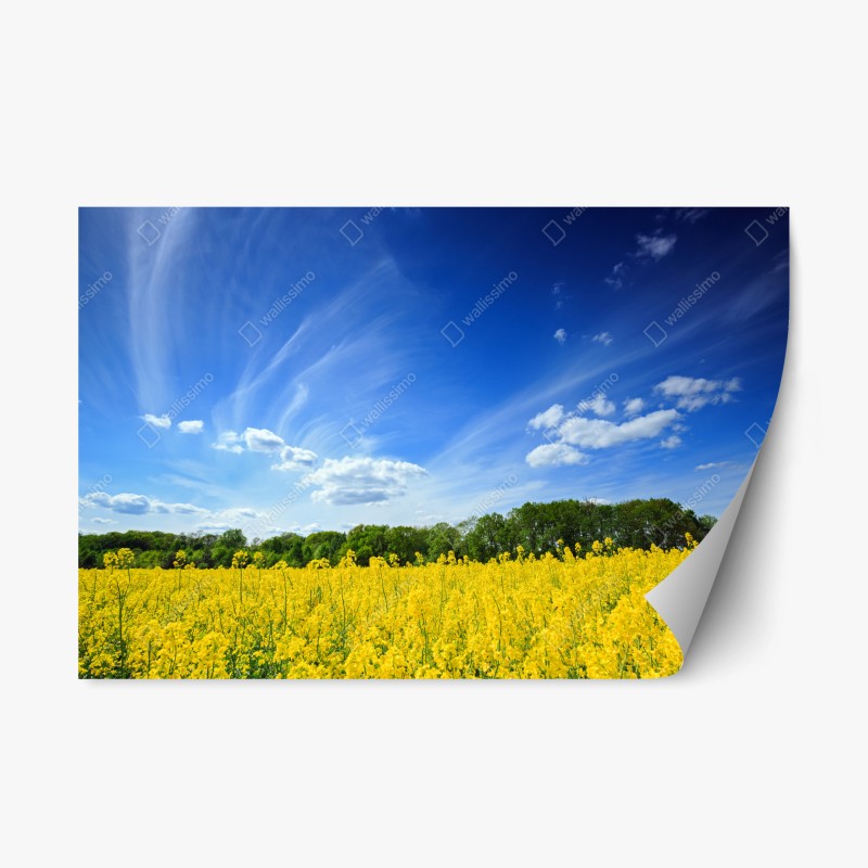 Repositionierbarer Aufkleber japanisches blaues seigaiha-wellenmuster – Wallnifity®