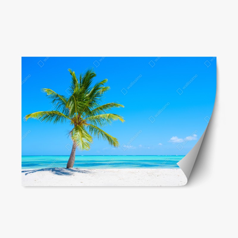 Repositionierbarer Aufkleber tropische palme am weißen sandstrand