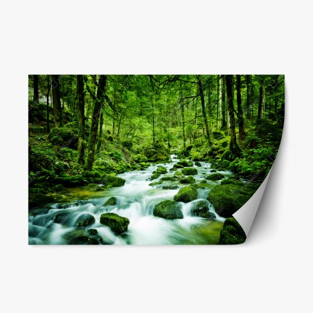 Repositionierbarer Aufkleber moosbedeckter waldbach – Wallnifity®