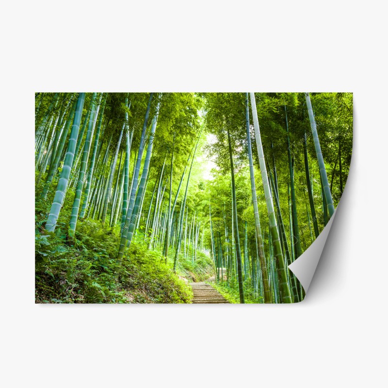 Repositionierbarer Aufkleber panorama des üppigen grünen wasserfalls – Wallnifity®