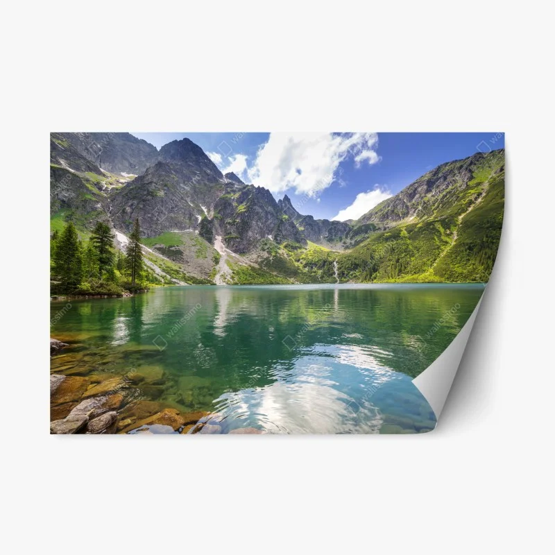 Repositionierbarer Aufkleber moosbedeckter waldbach im herbst – Wallnifity®