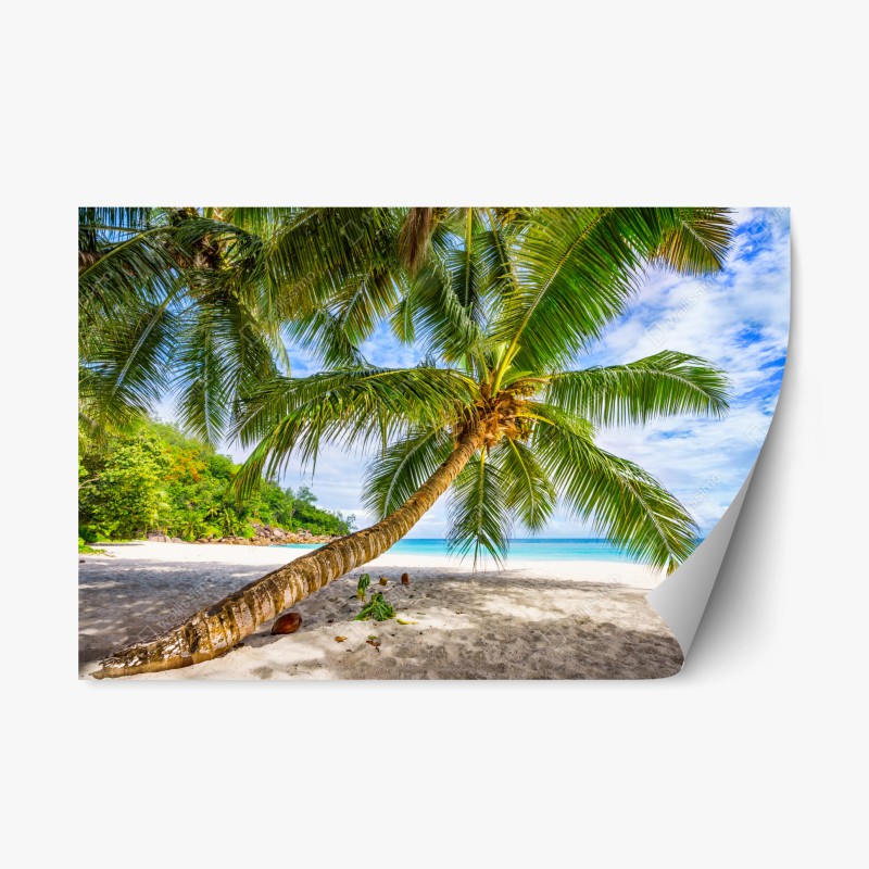 Repositionierbarer Aufkleber tropische palme am weißen sandstrand