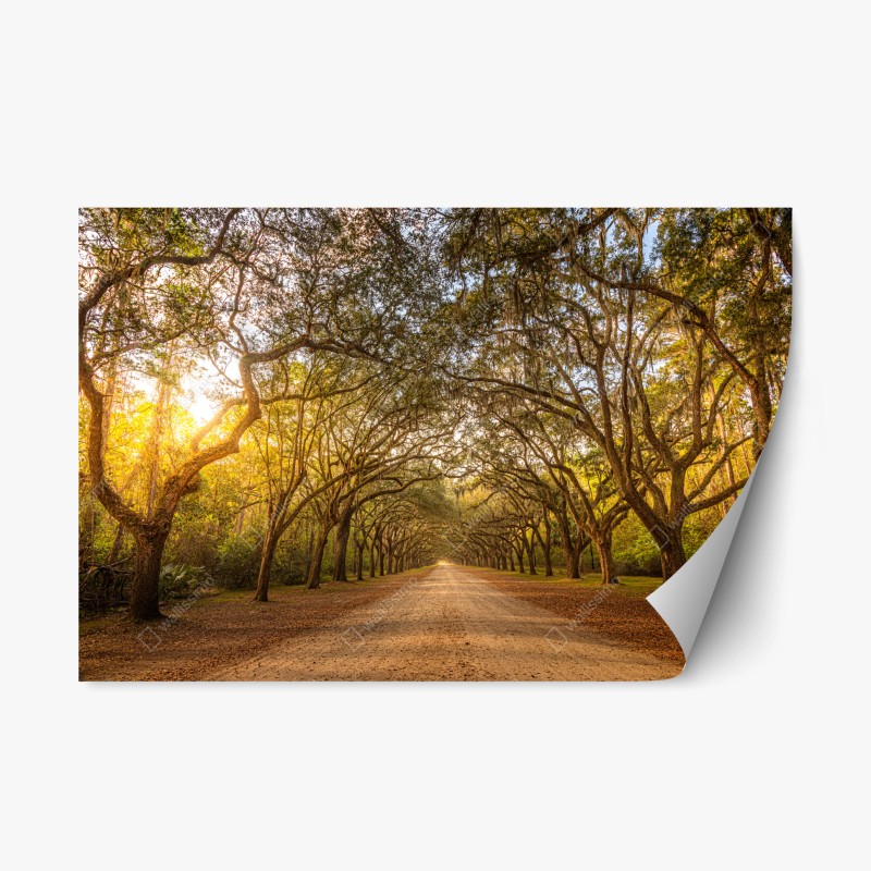 Repositionierbarer Aufkleber niedliches lächelndes sternenmuster für kinderzimmer – Wallnifity®