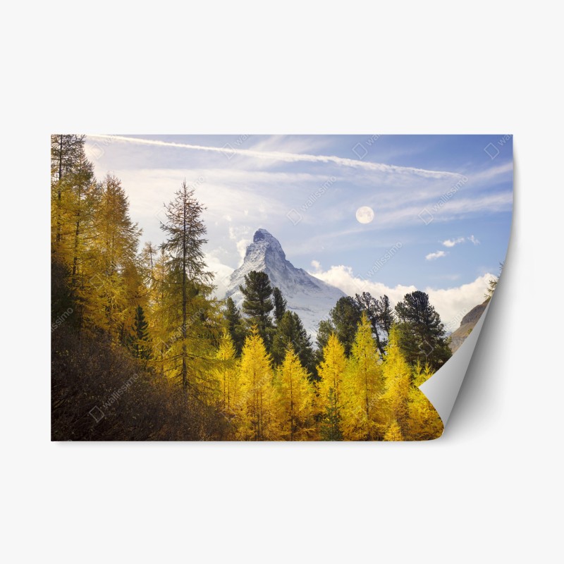 Repositionierbarer Aufkleber winterliche gimpel und vogelbeeren - muster – Wallnifity®