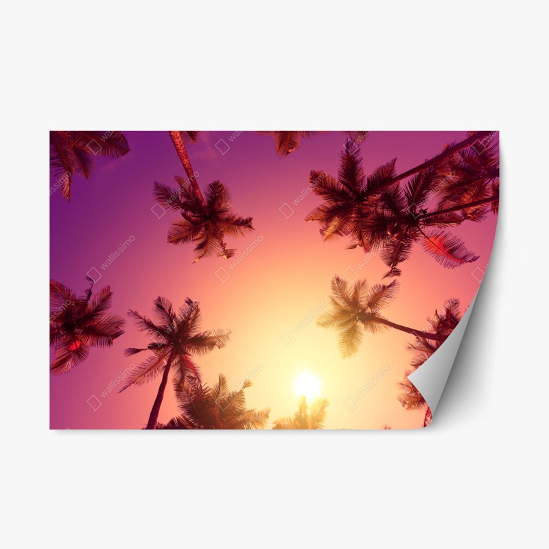 Repositionierbarer Aufkleber pastelliges bergtal bei sonnenaufgang – Wallnifity®