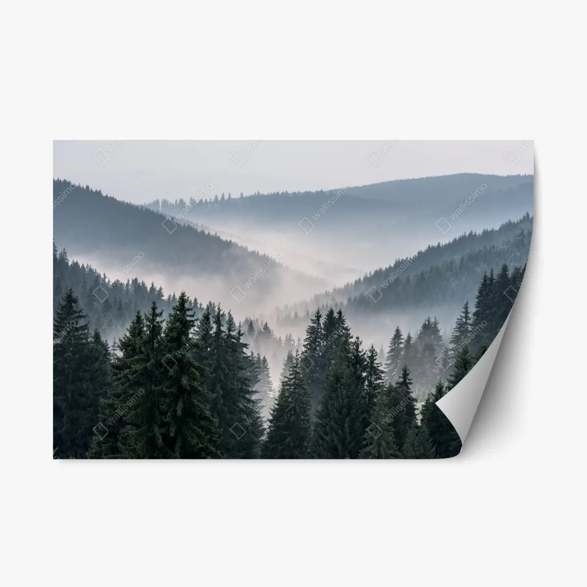 Repositionierbarer Aufkleber nebliger bergwald – Wallnifity®