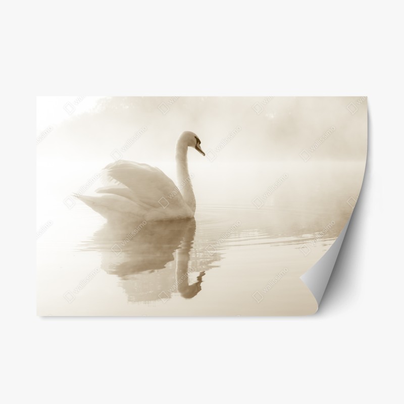 Repositionierbarer Aufkleber Neptun klassisches standbild in monochrom – Wallnifity®