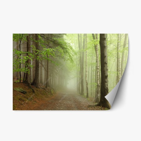 Repositionierbarer Aufkleber nebliger waldpfad – Wallnifity®