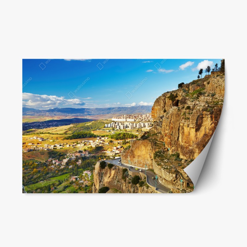 Repositionierbarer Aufkleber aquarell kaktusgarten muster – Wallnifity®