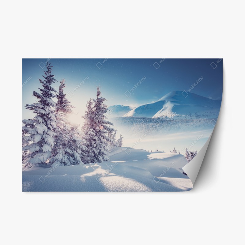 Repositionierbarer Aufkleber tropischer türkisstrand – Wallnifity®