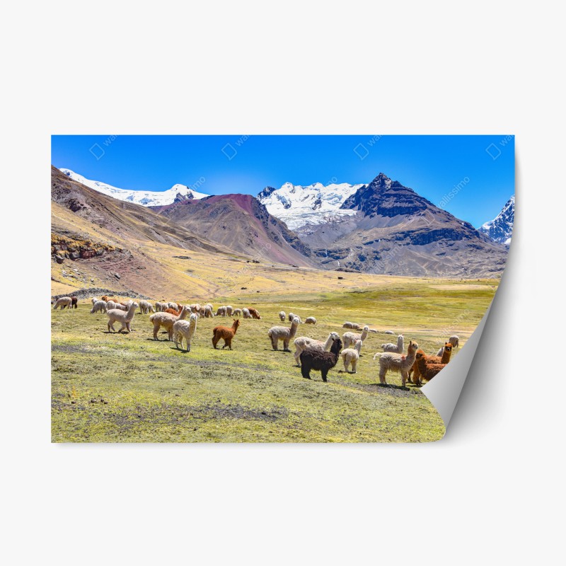 Repositionierbarer Aufkleber lebendige Skyline von Istanbul über dem Bosporus – Wallnifity®