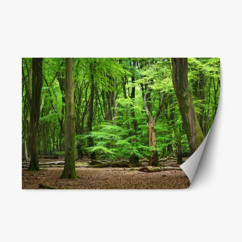 Repositionierbarer Aufkleber majestätischer jaguar in freier wildbahn – Wallnifity®