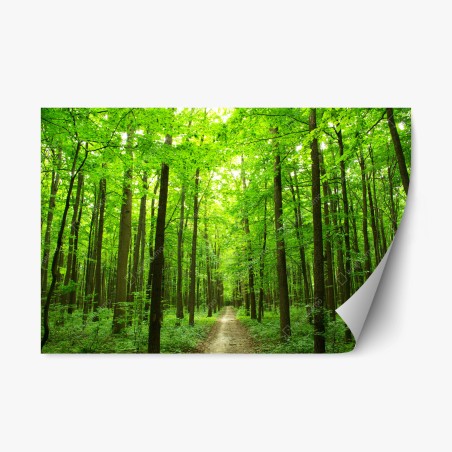 Repositionierbarer Aufkleber ruhiger waldpfad – Wallnifity®