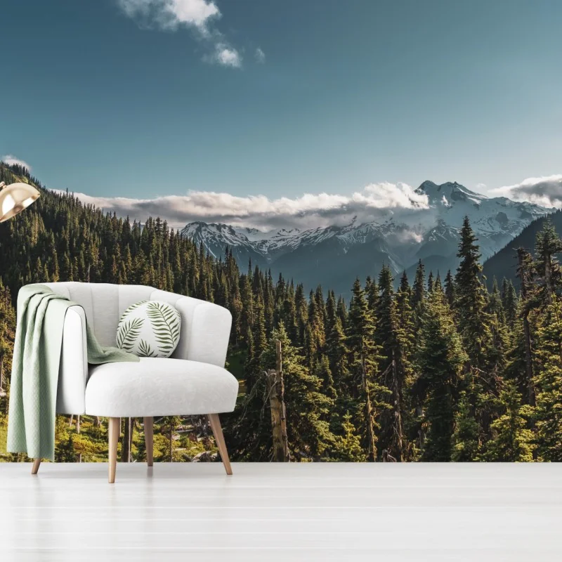 Fototapete majestätische alpine waldlandschaft