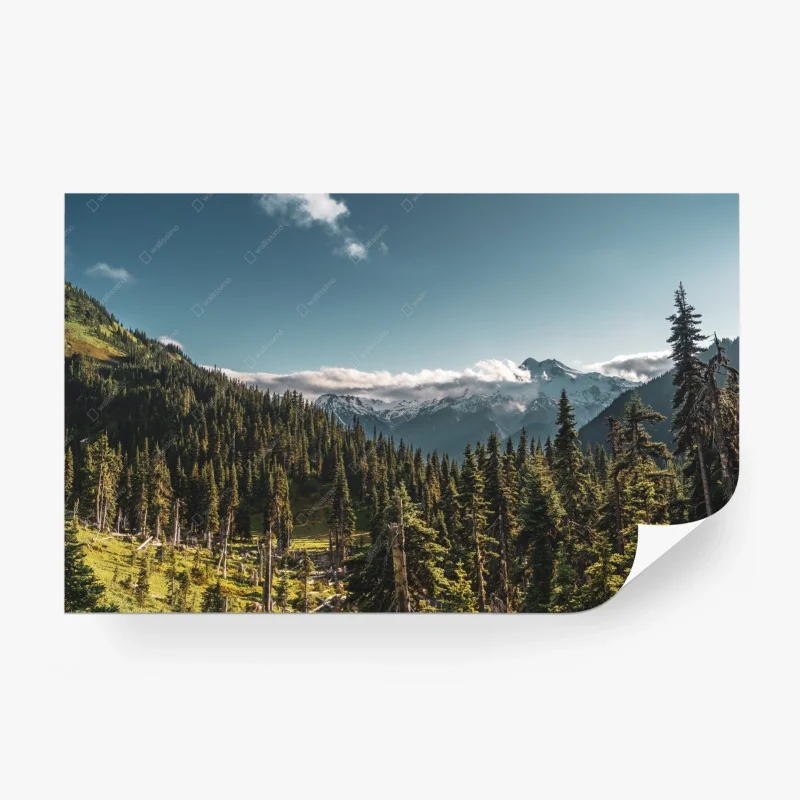 Fototapete majestätische alpine waldlandschaft