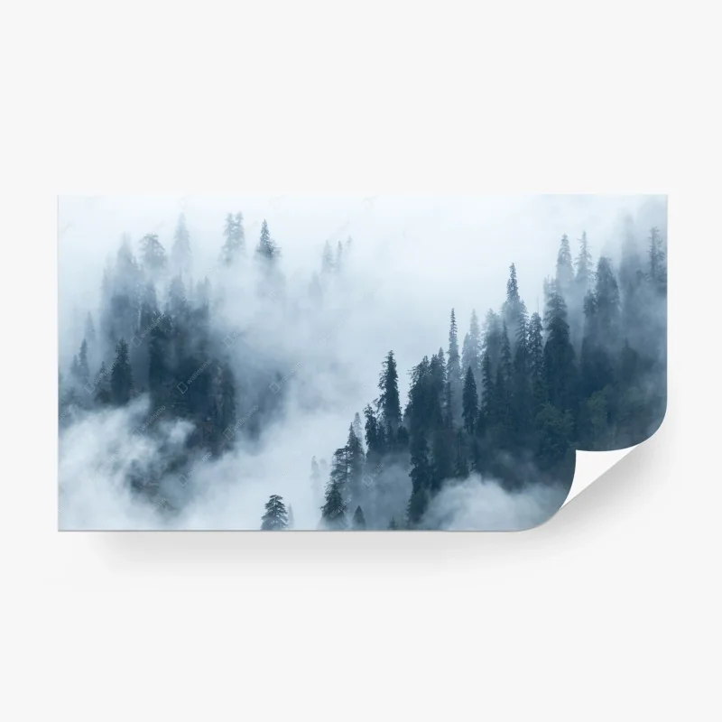 Fototapete nebliger kiefernwald