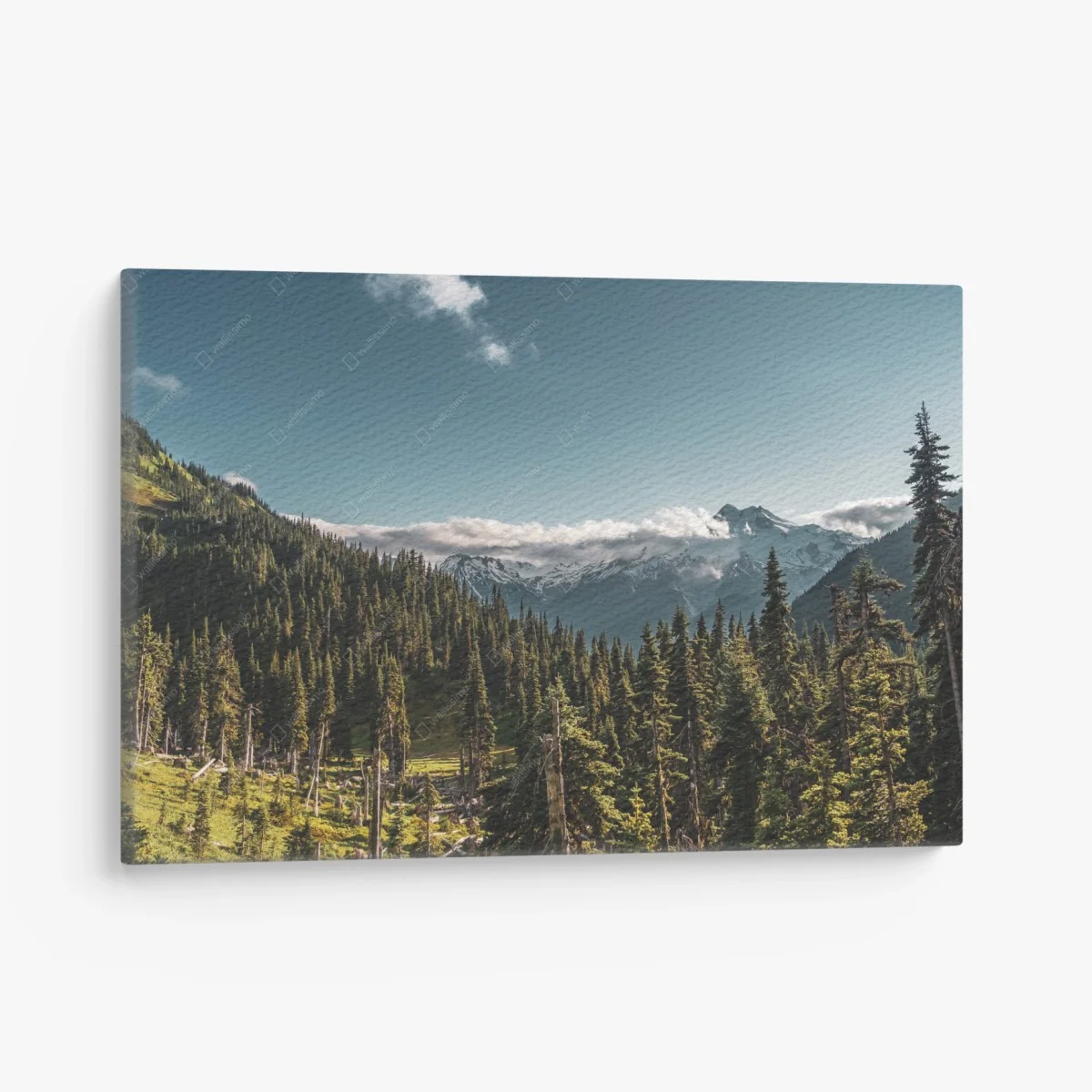Leinwandbild majestätische alpine waldlandschaft – Wallnifity® Leinwandbild majestätische alpine waldlandschaft – Wallnifity®