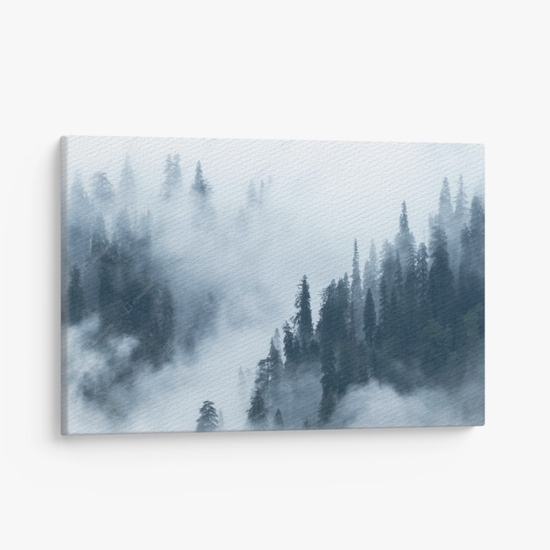 Leinwandbild nebliger kiefernwald