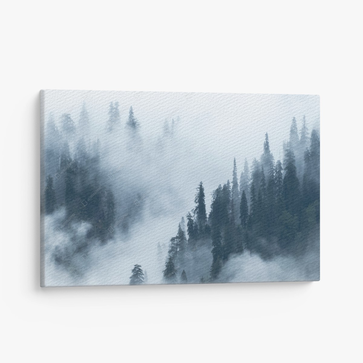 Leinwandbild nebliger kiefernwald – Wallnifity®