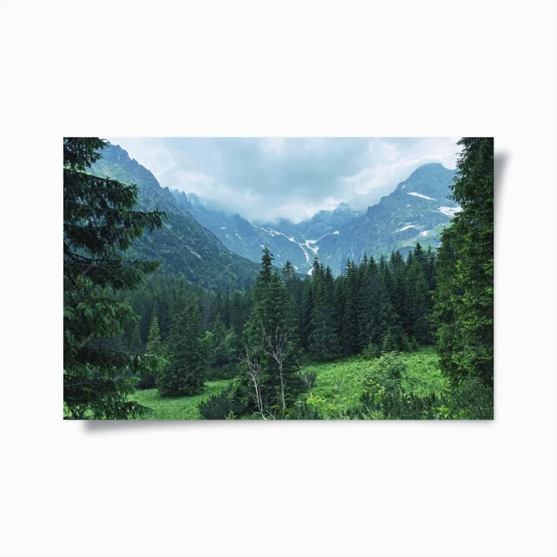 Poster ruhige berglandschaft mit wald