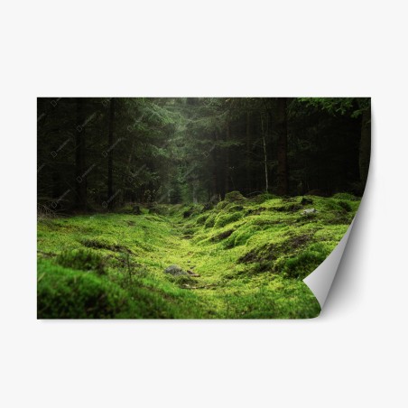 Repositionierbarer Aufkleber moosiger waldpfad – Wallnifity®