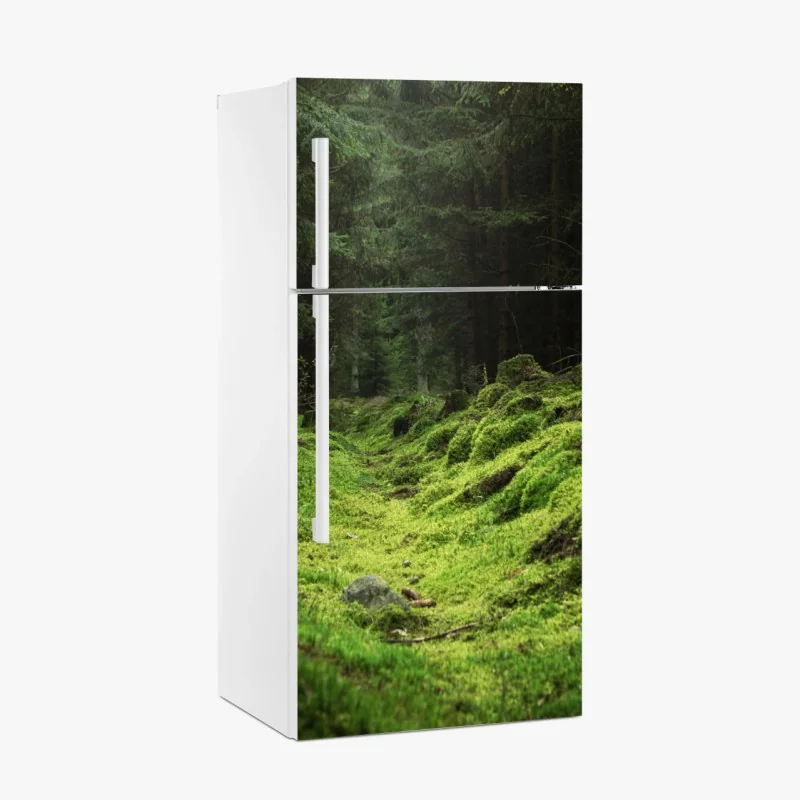 Kühlschrankaufkleber moosiger waldpfad