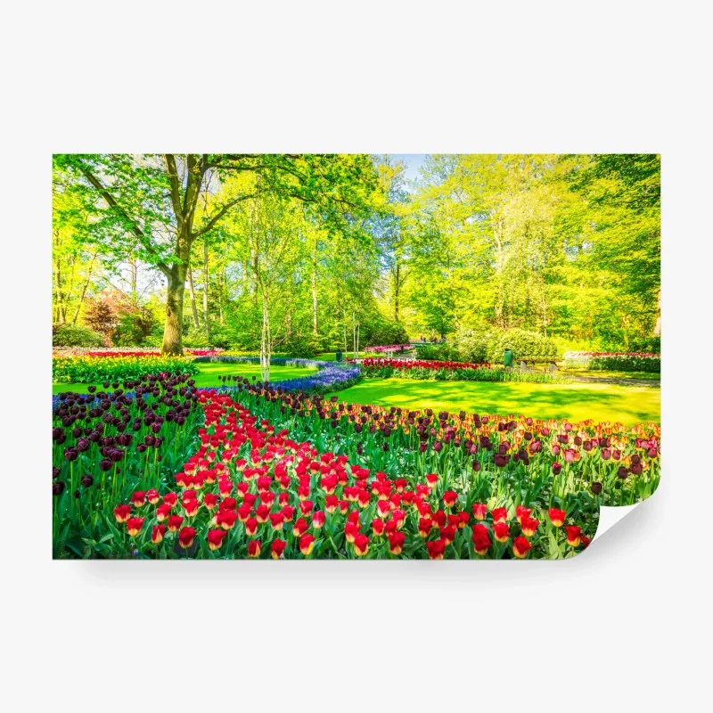 Fototapete lebendiger tulpengarten im frühling