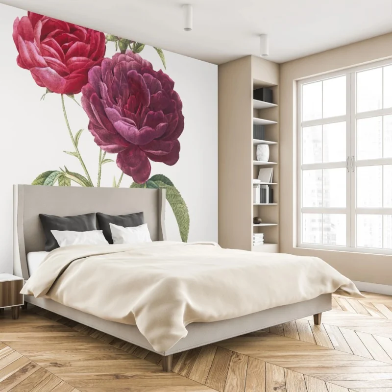 Fototapete botanische illustration purpurrose