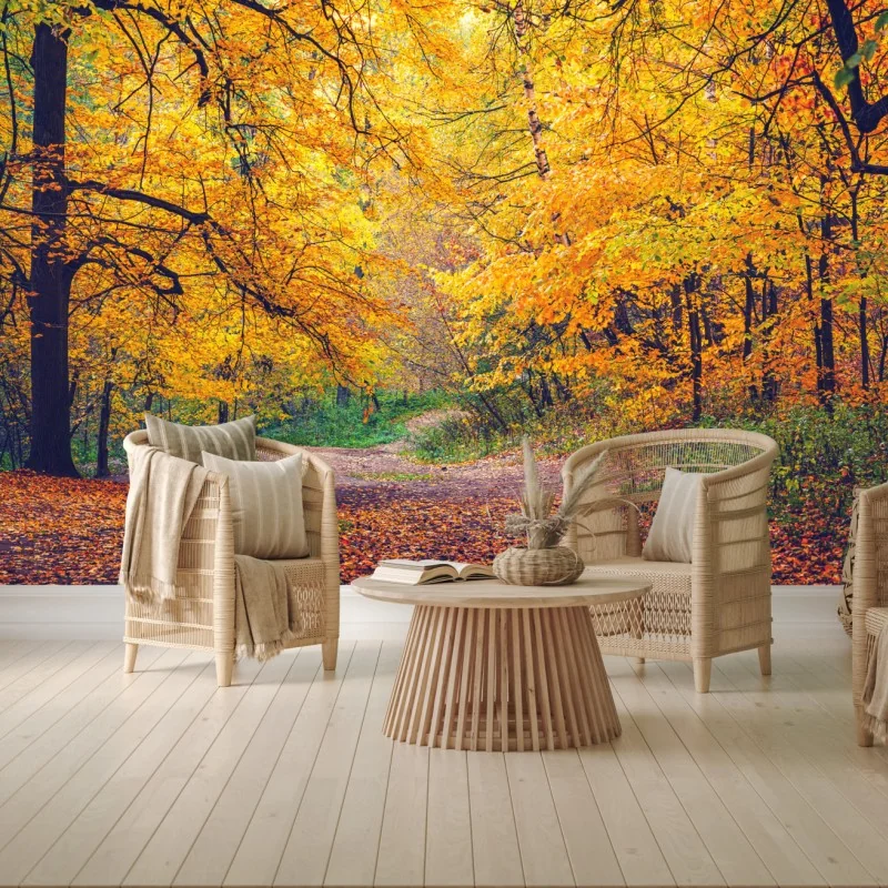 Fototapete goldener herbstweg im wald