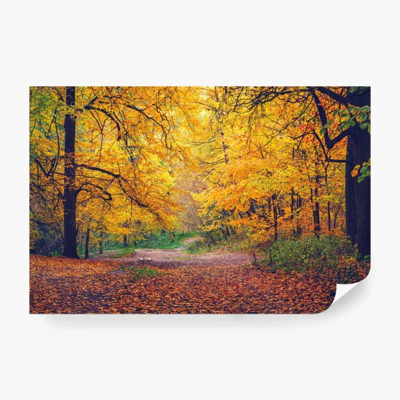 Fototapete goldener herbstweg im wald