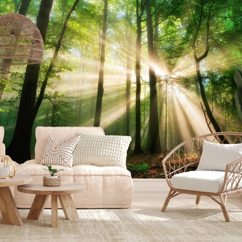 Fototapete sonnenstrahlen im grünen wald